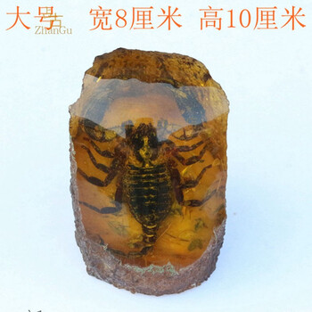 Zhangu人工琥珀原石动物带虫虫子标本昆虫真虫虫珀人造蜜蜡摆件图片色 图片价格品牌报价 京东