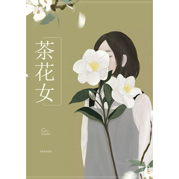 茶花女 亚历山大 小仲马 电子书下载 在线阅读 内容简介 评论 京东电子书频道