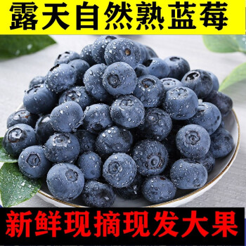 【顺丰发货】秘鲁怡颗蓝莓125g/盒单果20MM精选大果当季新鲜水果时令 4盒/125g小果（9-12MM）