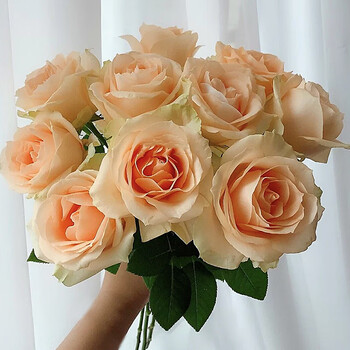 荔枝玫瑰鲜花云南直发20支家用插花水养昆明基地直批空运 蜜桃雪山