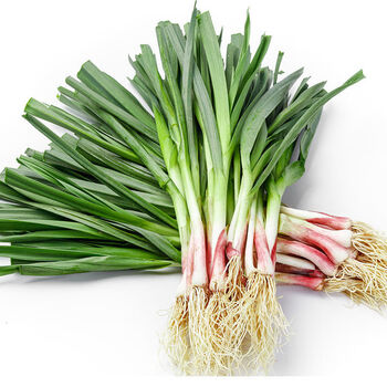 蒜苗新鲜大蒜苗批发大蒜头蔬菜净重5斤备