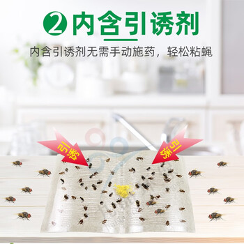 空消粘蝇板高效诱捕苍蝇贴粘蝇纸强力粘苍蝇蚊蝇小飞虫胶灭蝇纸板60张