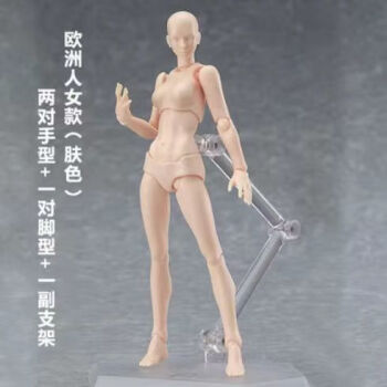 全新figma素体美术人体模型玩具日本人偶关节可动成人绘画-Taobao
