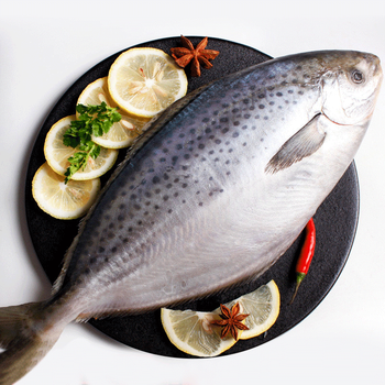 顺丰速运新鲜雪花鲳鱼鲜活冷冻银鲳鱼白鲳鱼海鲜5斤中号