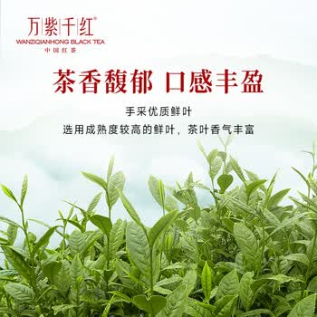 万紫千红特级红茶 峨眉山茶75g 生肖罐装茶叶自己喝 25003