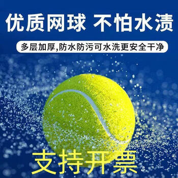 国瑞信德网球 业余娱乐练习球 单只装  练习用网球
