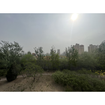 盛京银行天津分行抵押物招商公告【天津市河西区商服用地】