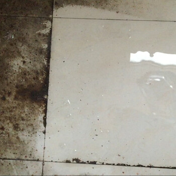 麦格丽草酸清洁剂5斤装强力瓷砖地面清洗剂水泥草酸溶液厕所马桶洁厕液 麦格丽草酸清洁剂5斤装强力瓷砖地面清洗剂水泥草酸溶液厕所马桶洁厕液