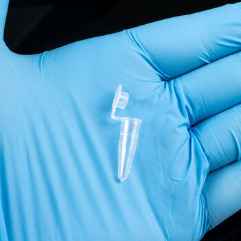 海斯迪克 HK-148 塑料离心管 带刻度EP管种子瓶  0.2ML连盖（1000个/包）