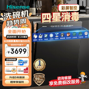 海信(Hisense)洗碗机15套 四星消毒 一级水效分层洗 168h储存 环流热风 WIFI智控独立式嵌入式两用 WD15-Y301iS