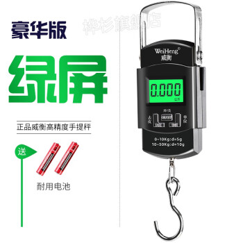 BECBI 10kg x 5g Electronic Hand Scale For Fishing Weight Luggage