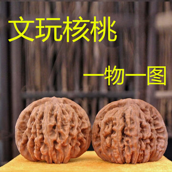 大耳朵图图核桃 文玩 クルミ 大耳朵图图核桃 文玩 クルミ