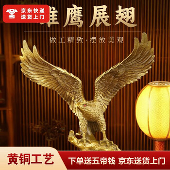 大展宏图雄鹰价格报价行情- 京东
