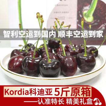 智利kordia科迪亚车厘子5斤双j原箱礼盒顺丰空运新鲜车厘子进口大樱桃