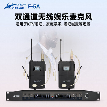 北极声无线一拖二教室讲解麦克风F-5A (头戴式）