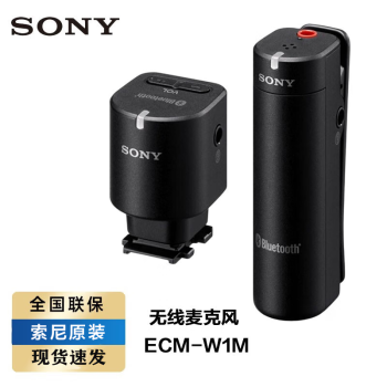 索尼ECM-W1M价格报价行情- 京东