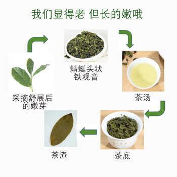 一农茶叶一级清香型铁观音乌龙茶粒粒香袋装250g 福建茗茶
