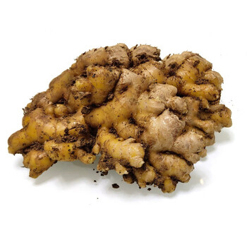 云南小黄姜 现挖农家老姜 新鲜生姜 1斤