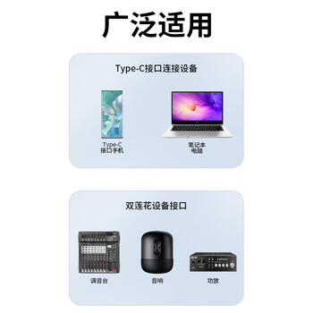 臻威（ZHENWEI）Type-C转双莲花音频线 2RCA一分二转接线器 手机电脑连接音响箱功放 1米