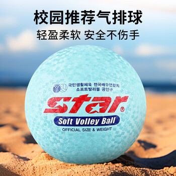 世达气排球8号球成人训练比赛标准用球气排球乳胶 软排蓝色CB818-07