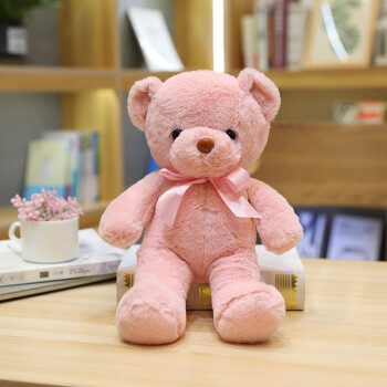 抱抱熊熊猫小熊公仔布娃娃毛绒玩具小号送女友情人节礼物女 浅粉色熊