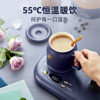 小熊（Bear）迷你养生壶养生杯 烧水壶 煮茶壶 保温杯垫多功能花茶煮茶壶YSH-C08V1蓝色