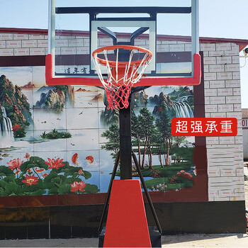 祖彤成人标准户外运动儿童家用移动可升降篮球架室外篮球框1.8M平箱红