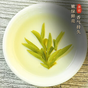 江萃绿茶龙井特级250g2025新茶明前茶叶礼盒装春茶长辈客户送礼礼品物