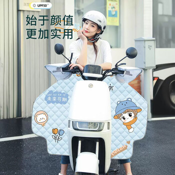 DUTRIEUX电动车挡风被亲子四季薄款【夏季可视斗篷款】灰底滑板熊