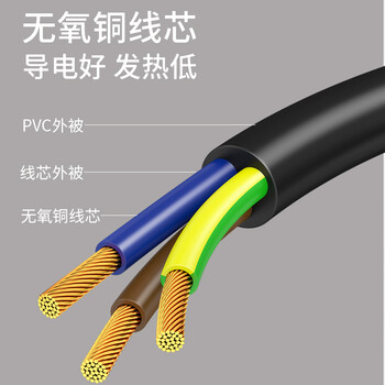 广昌兴(G.C.X)PDU连接服务器电源线16a三插头转c19孔 3*1.5平方 1.5米 无氧铜国标3C认证大功率主机设备 广昌兴(G.C.X)PDU连接服务器电源线16a三插头转c19孔 3*1.5平方 1.5米 无氧铜国标3C认证大功率主机设备