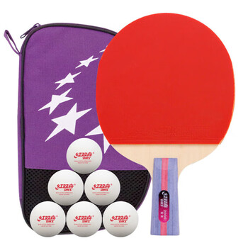 红双喜二星训练成品拍升级版直拍H2006双面反胶乒乓球拍含拍包乒乓球