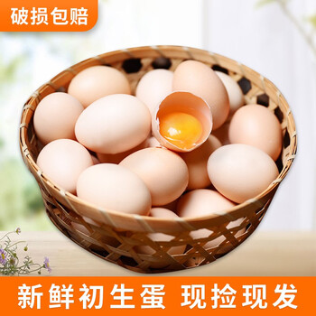 黄河畔新鲜土鸡蛋初生蛋柴鸡蛋农家现捡10枚装
