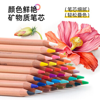 马可（MARCO）120色油性彩铅美术生专用
雷诺阿系列铁盒开学生日礼物儿童男女孩学生画风筝出游相纸涂鸦彩色铅笔