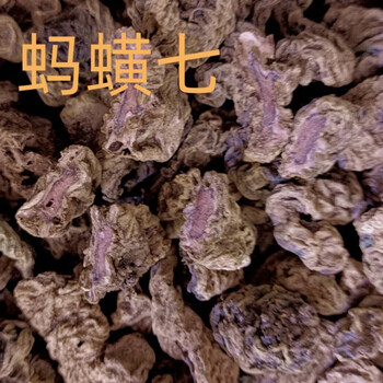 北京同仁堂云南地产红蚂蝗七蚂蟥七植物别名石螃蟹石蜈蚣农产品内廷上