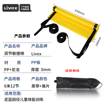 LIVEX敏捷梯 足篮球田径体能脚步训练辅助器材儿童成人步伐绳梯6米12节