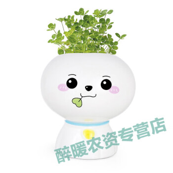 界梁山桌面创意学生diy可爱晴天娃娃植栽办公室内植物摆件好养绿植盆栽叶子娃娃 幸运草 图片价格品牌报价 京东