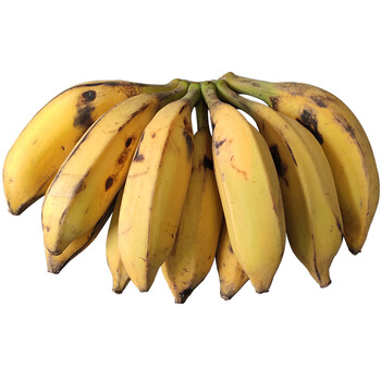 广西大牛蕉芭蕉新鲜10斤带箱现砍酸甜广西巴焦丑蕉 2500g