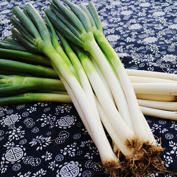 【i年货节i】大葱山东大葱批发章丘铁杆大葱蔬菜新鲜3-5斤特级白葱