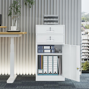 丰龙矮柜档案资料办公家用文件柜带锁储物铁皮抽屉柜850高二斗一门 丰龙矮柜档案资料办公家用文件柜带锁储物铁皮抽屉柜850高二斗一门