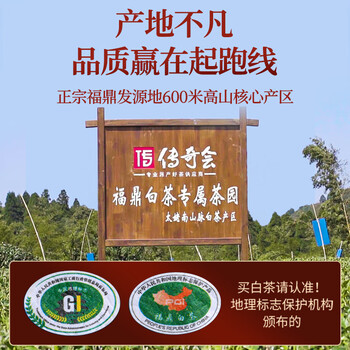 传奇会茶叶福鼎白茶白毫银针老白茶茶饼350g自己喝送礼