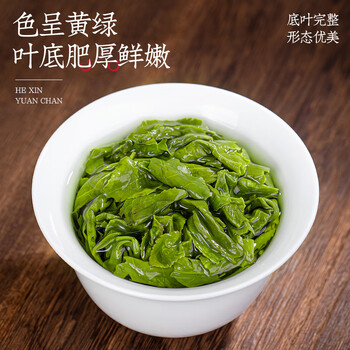 福茗源乌龙茶叶 安溪金观音 清香特级2025新茶罐装100g黄金桂透天香春茶 福茗源乌龙茶叶 安溪金观音 清香特级2025新茶罐装100g黄金桂透天香春茶