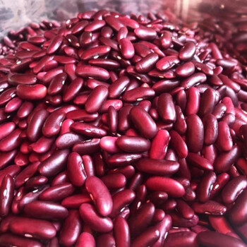 大红豆5红腰豆红芸豆红芸豆五谷杂粮豆红豆半斤红豆1斤