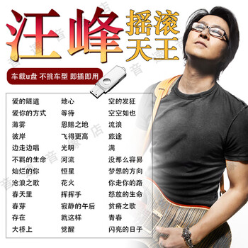 蒲阳世家汪峰专辑汽车载u盘歌曲华语摇滚流行音乐usb无损高品车用优盘