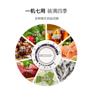 美菱201L单温家商用低霜冷柜 一级能效迷你节能单温小冰箱 BC/BD-201DTQ【专】