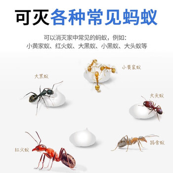 郁康蚂蚁药全窝一窝室内端杀虫剂非无毒家庭用杀蚁胶饵灭蚁饵剂10g 郁康蚂蚁药全窝一窝室内端杀虫剂非无毒家庭用杀蚁胶饵灭蚁饵剂10g