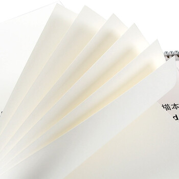 温莎牛顿【弗洛伊德同品牌】素描纸本画家专用素描本8K