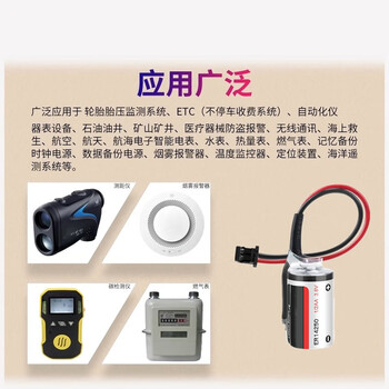正鑫远 ER14250锂电池3.6V ETC 台达PLC编程器自动化仪器仪表7AA需要定制其他插头请咨询客服 正鑫远 ER14250锂电池3.6V ETC 台达PLC编程器自动化仪器仪表7AA需要定制其他插头请咨询客服