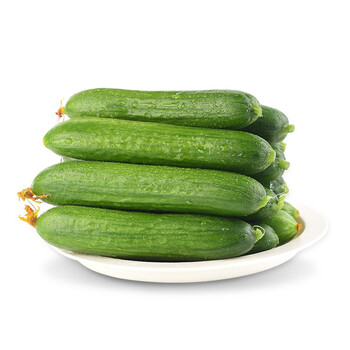 旷古农业新鲜小黄瓜 水果小青瓜 新鲜蔬菜 2000g