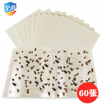 空消粘蝇板高效诱捕苍蝇贴粘蝇纸强力粘苍蝇蚊蝇小飞虫胶灭蝇纸板60张