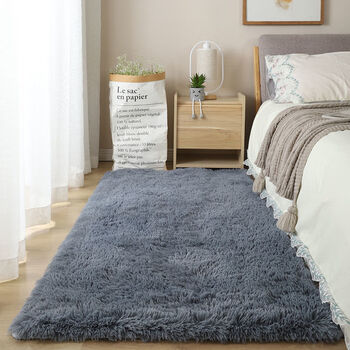 6015雪檬加厚长毛绒地毯卧室床边长条防摔可爱少女房间耐脏网红